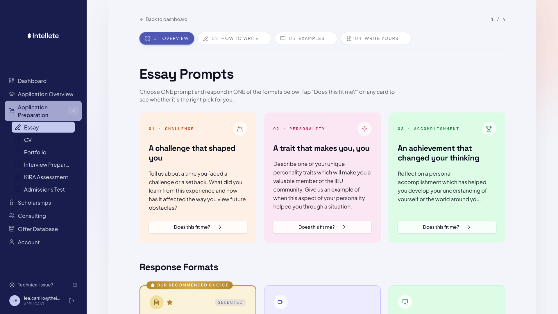 Essays preview inside the navigator